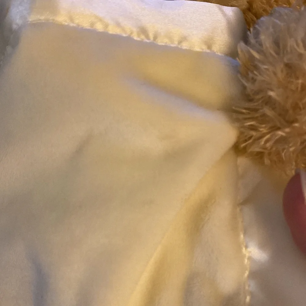 BABY GUND Peek-a-boo Plush Bear (Does not come with batteries)